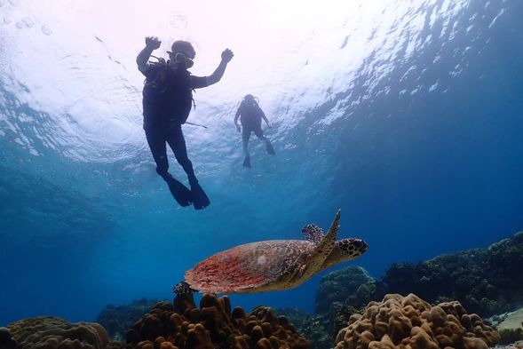 Dive no. 2 at Racha Yai or Racha Noi Island