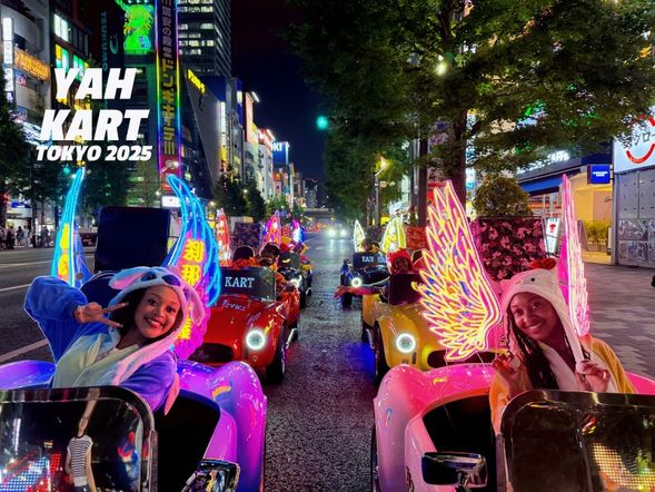 The only place in Japan where you can drive a go-kart through the streets of Tokyo!