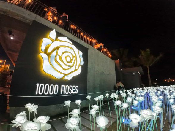Add on (Must Visit)
10,000 Roses Cafe
