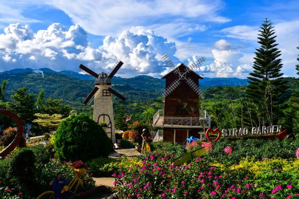 Day 1: City & Mountain Tour
- Pick Up from Airport/ City Accommodation
- Tour Start at 8am
📍 Sirao Flower Gardens