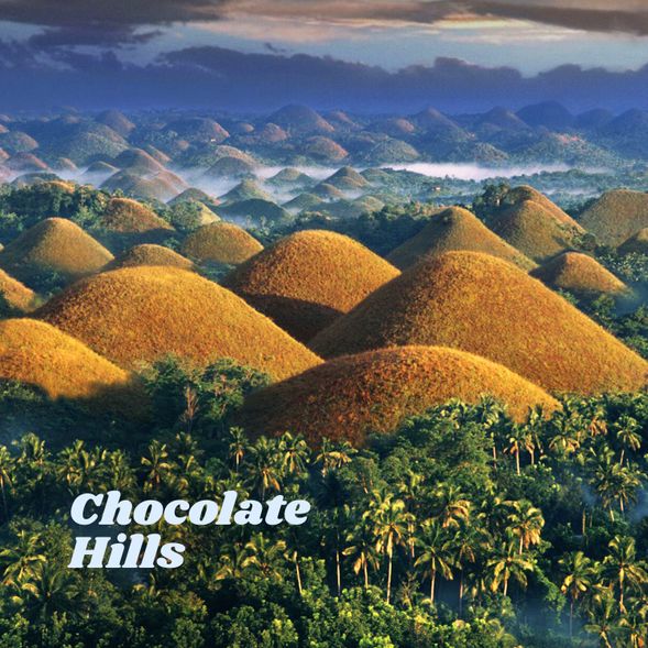 📍Chocolate hills