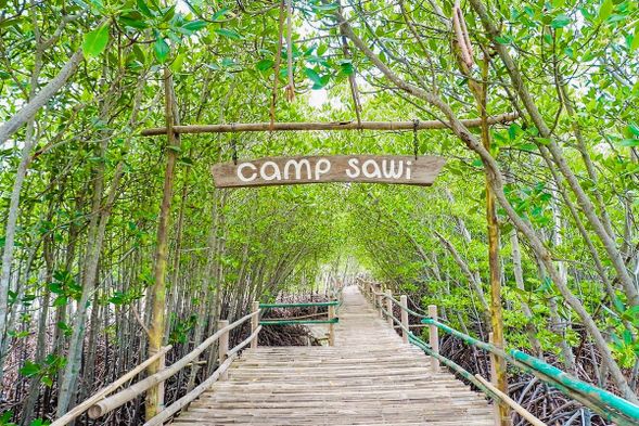 📍Mangrove Campsawi/campwagi