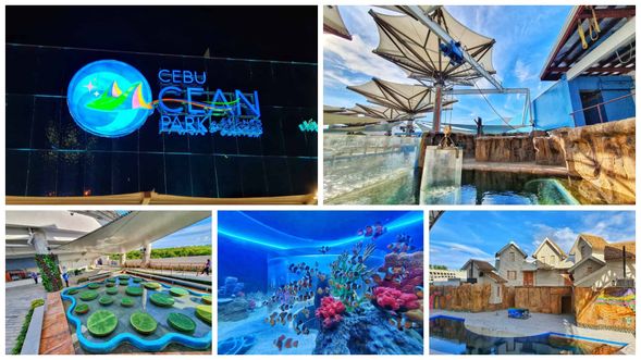 Visit Cebu Ocean Park
