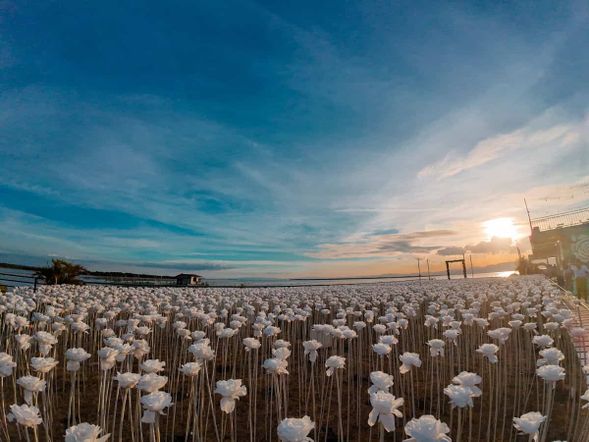 Must visit itinerary 10,000 Roses