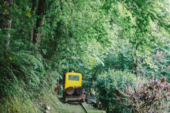 10:30-11:00市區飯店/花蓮火車站→鳳林小鎮午餐時光→林田山林業文化園區→美好花生(遇休改考古博物館)→池南國家森林遊樂園區→ 17:00-18:00晚餐→ 18:00-19:30鯉魚潭生態導覽→20:00返抵花蓮市區