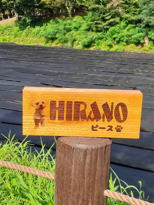 手作り表札作品一例