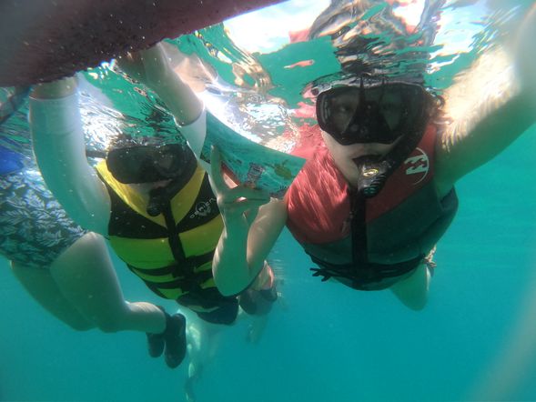 帶著明信片出發前往海底郵筒