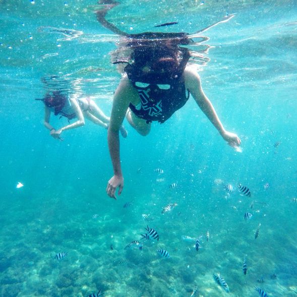 與海洋生物的近距離體驗