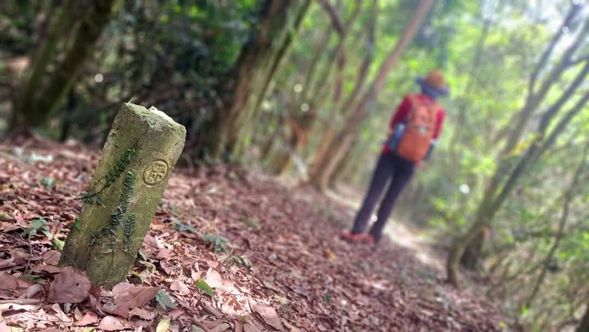 登山健行|六龜警備道
跟隨著專業嚮導的步伐,走進一條別具自然生態與歷史價值的古道,上一堂歷史人文課!