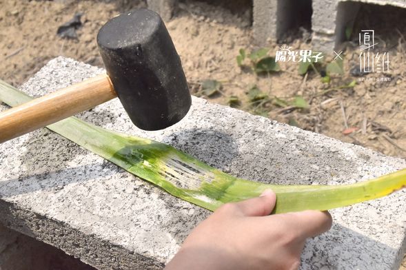 陽光果子農場 ▸ 鳳梨主題手作體驗-鳳梨纖維吊飾