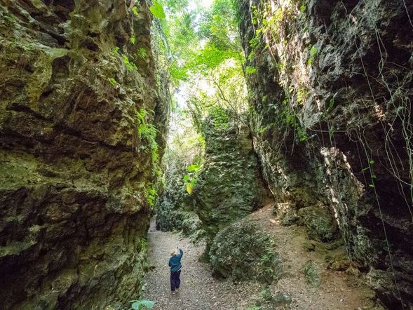 大崗山後山秘境
穿越隱藏版軍事洞穴,開啟探險模式!