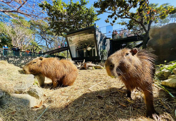壽山動物園導覽體驗