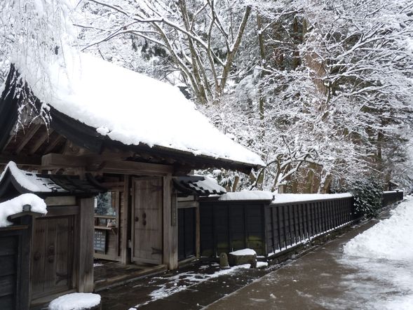 武家屋敷散策(停留約1小時30分):
漫步於保存完善的武家屋敷街道,欣賞黑瓦白牆的古建築群,感受江戶時代武士家族的生活痕跡。
四季景色各有不同:春天的垂櫻、夏天的新綠、秋天的紅葉與冬天的雪景,都能展現角館迷人的風貌。