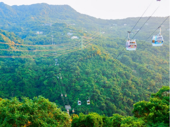 動物園駅でロープウェイに乗車、猫空駅まで移動 (ロープウェイ乗車時間:約30分)
猫空ロープウェイは台湾で最も長いロープウェイで、キャビンから下を見下ろすと、猫空茶園の美しい絶景を一望できます。
(ロープウェイ代は現地払いとなります。TWD120/人)
※ロープウェイが運休と停止しているまたは悪天候の場合は、運転手がお客様を山の上まで車でお連れします。