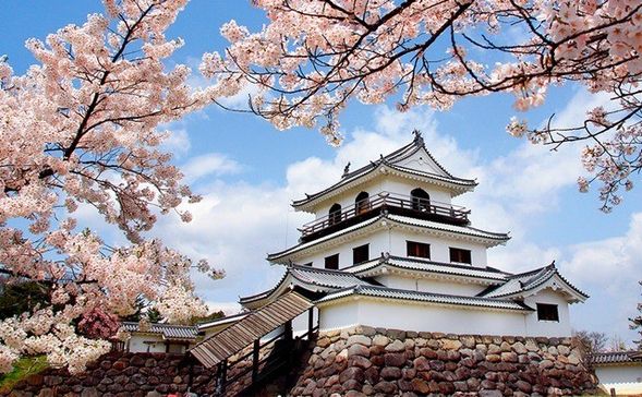 白石城 (觀光・午餐)
白石城(益岡城)位於白石市中心,是仙台南部的歷史要塞,曾為伊達家重臣片倉家的居城。雖然明治時期被毀,平成7年依照史實重建了三階橹(天守閣)和大手門。白石城以其木製結構的天守閣而著名,屬於日本少數符合建築基準法的特例。城內設有歷史探訪博物館,展示城池模型和片倉家文物,並設有三維立體影院,深入介紹白石城的歷史與文化。
