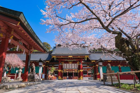 志波彥神社・鹽竈神社 (鹽竈神社博物館) (參觀)
鹽竈神社是東北地區的陸奥國一之宮,歷史悠久,並於明治時期與志波彥神社合併,現稱「志波彦神社、鹽竈神社」。2012年,正殿、拜殿等被指定為日本國家重要文化財。每年4月,神社內的「鹽竈櫻」盛開,並被列為天然紀念物;7月的「鹽竈港祭」是日本三大船祭之一。鹽竈神社每年吸引約50萬人參拜,祈求順產、安全、必勝等。神社內有四季花卉及「獻魚台」,漁夫為祈求航海安全將魚奉獻給神明,這一傳統在鹽竈港獨具特色。志波彥神社則供奉農耕守護、增產及國土開發的神祇,建議先參拜鹽竈神社,再前往志波彥神社,以完整欣賞壯麗的鹽釜港景色。