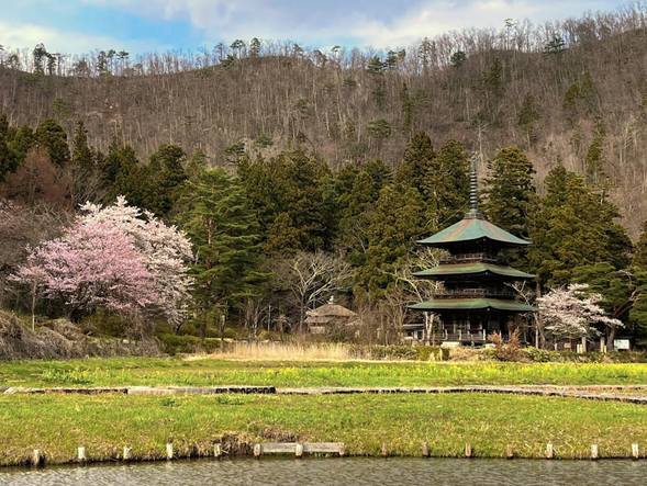 安久津八幡神社 (車上遊覽)
安久津八幡神社位於山形縣高畠町,擁有悠久的歷史和豐富的文化遺產。貞觀2年(860年),以慈覺大師在地方豪族--安久津磐三郎的協助下,開始建造阿彌陀堂為端。平安後期,源義家為了祈願奧州平定的戰勝而修建了此神社。這座神社擁有多座重要的文化財,其中包括本殿(三間社流造,建於1755年)、三重塔(最初建於1625年,經過重建,1797年竣工),以及舞樂殿(推測建於室町時代末期)。其中,三重塔是山形縣唯一的層塔,其結構獨特由銅板覆蓋,是該地區的代表性建築。