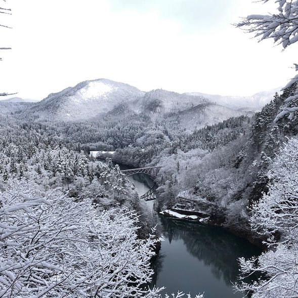 尾瀨街道攝影景點(屆設拍攝雪景的絕佳地點)
休息與拍攝影: 這裡可是俯瞰只見川的重要攝影景點! 由於此地交通不便,除自駕駛之外,就是利用我們的巴士了; 喜歡雪景攝影的朋友不要錯過喔, 景點內導覽地圖明確, 拍攝景點建議有 B C D 三個地點, 最高的是D 體力好的您可以一口氣直攻D點拍攝最美的景色! (因東北冬季偶有強降雪, 可能因急降雪安全因素而管制開放, 屆時將僅能介紹到管制路途終點攝影,再請您見諒)