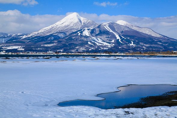 觀賞冬天的天鏡湖景致
豬苗代湖水花冰是冬季強風吹起湖水,若運氣好,則偶而能發現波濺在岸邊的樹上而結冰的景色。即便在日本也是非常珍貴,據傳只有在湖南町浜路湖畔及猪苗代町天神湖畔兩地方才可以見到的大自然景致。
欣賞偶而邂逅來自西伯利亞的野生白天鵝徜徉湖間的優雅景致