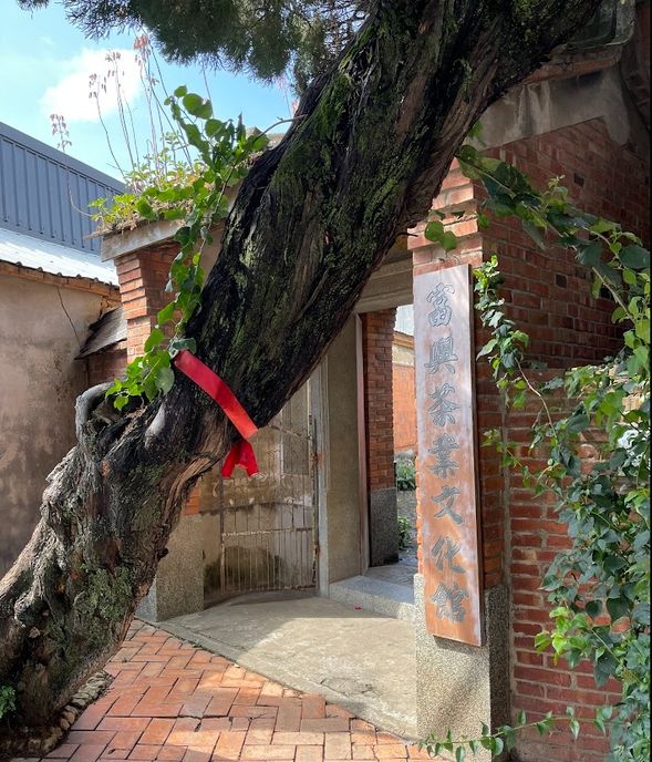 東方美人茶の生産地 新竹の峨嵋に到着 - 富興老茶廠 (約1.5時間)
新竹最古の製茶工場、東方美人茶を専門に生産する富興茶廠は清朝末期に建てられ、100年以上の歴史があります。
※ 東方美人茶の製造工程をご紹介+試飲、お土産に美味しい東方美人茶の購入も可能でございます。
(写真はFinemakers Co. Ltd提供)