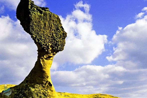 野柳地質公園 (滞在約1時間)
女王頭をはじめとする有名な奇岩が集まる地質公園。大自然が作り出した造形美を見学します。