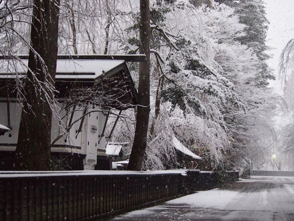 武家屋敷散策(停留約1小時30分):
漫步於保存完善的武家屋敷街道,欣賞黑瓦白牆的古建築群,感受江戶時代武士家族的生活痕跡。
四季景色各有不同:春天的垂櫻、夏天的新綠、秋天的紅葉與冬天的雪景,都能展現角館迷人的風貌。