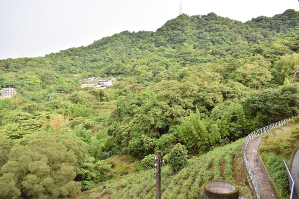 茶路古道 (滞在時間:約30分)
茶路古道は、昔の台湾茶を輸送する際に利用された唯一の道です。茶道には先祖の時代から植えられた古い茶の木があり、この茶の町の歴史を物語っています。