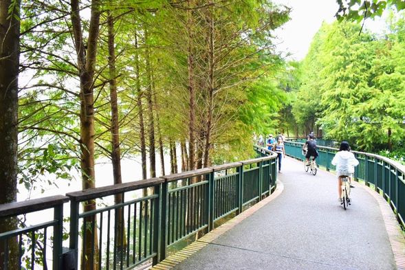 3.-③【日月潭サイクリング】 (※現地払い)
アクティブ派は自転車で湖畔を一周!途中でお寺などの名所にも立ち寄りましょう!
日月潭の周囲には、山沿いのコースや湖畔のコースなど、8つの遊歩道が整備されていて、さまざまな角度から日月潭の風景を楽しむことができます。
湖の月潭、中湖、頭社にはサイクリングロードも設けられています。湖一周は、全長約33キロ。
(写真はFinemakers Co. Ltd提供)