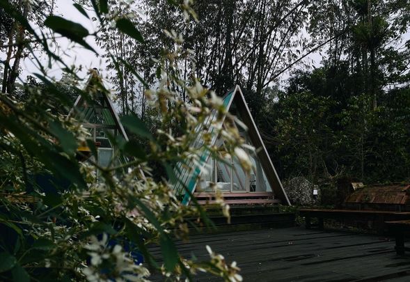 森林中的獨特星空帳篷