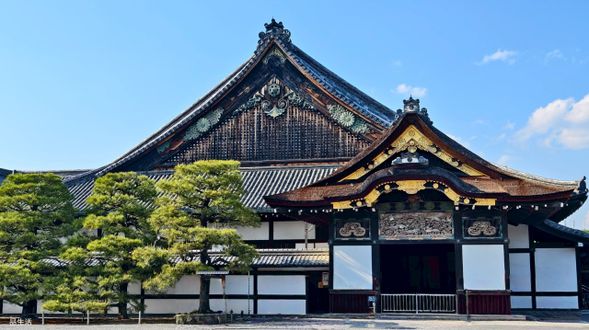 權力與榮耀的舞台:元離宮二條城是德川家康親自建造、宣告天下歸於幕府的權力象徵。御殿群落氣勢非凡、雕梁畫棟輝煌壯麗,處處彰顯將軍威儀。踏入二之丸御殿,腳下的鶯聲地板訴說著歷史暗湧;望向庭園,一派沉穩對映出權謀背後的靜謐。這裡,是日本政治轉折的現場,是王朝與武士交替之際留下的壯闊證明。