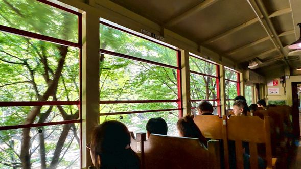 搭上嵯峨野小火車,穿梭於紅葉與山景間;下車後的嵐山竹林,靜謐而莊嚴。