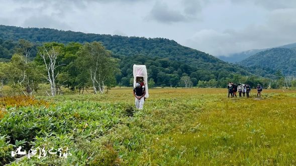 幸運的話,還能見到負責運送山屋物資的「步荷先生」。