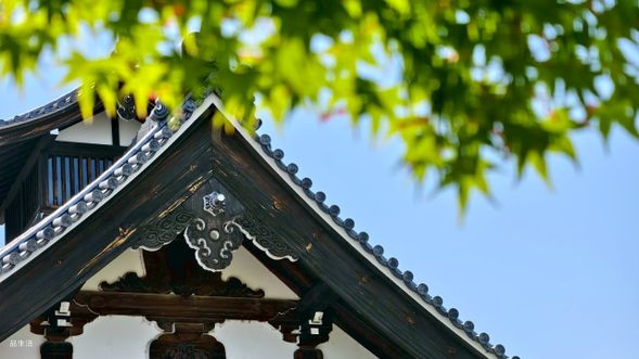 禪宗第一名刹,嵐山之魂:天龍寺,不只是嵐山的地標,更是日本禪宗文化的頂峰代表。創建於足利尊氏之手,為悼念後醍醐天皇所建,其正殿莊嚴宏偉,庭園「曹源池」被譽為日本禪風造景的極致典範。秋日楓紅倒映水面,四季皆如畫卷展開。走入天龍寺,彷彿步入一座歷史與禪意共鳴的殿堂,洗滌塵世繁囂,只剩浩瀚心境。