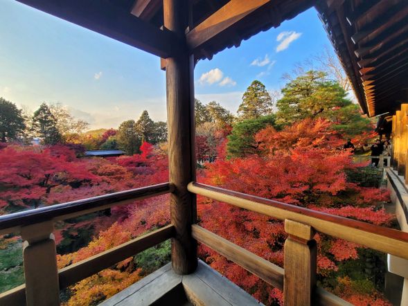 紅葉與禪意交織的古剎靜境:東福寺是京都五大禪寺之一,以其雄偉的伽藍與如詩如畫的庭園聞名。寺內的「通天橋」在楓葉季節化為紅色海洋,是京都賞楓的殿堂級秘境。除了自然之美,東福寺的方丈庭園以枯山水呈現簡約而深遠的禪意,步入其中,彷彿時間與思緒都慢了下來。這裡不是熱鬧的景點,而是一處讓人沉澱、感受內心寧靜的所在。