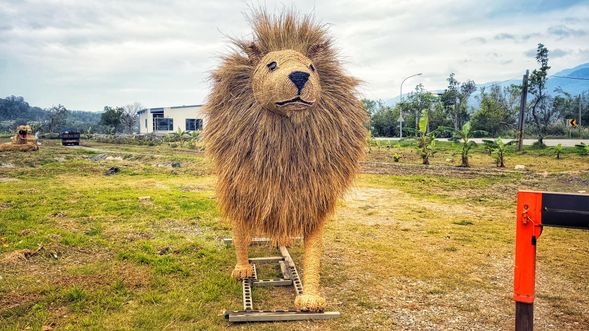 下午驅車前往富里鄉農會稻草藝術季,這裡每年都會以稻草創作各種巨型裝置,今年的主題為「動物迷蹤」,栩栩如生的藝術作品矗立於金黃稻田中,為旅程增添奇幻氛圍。