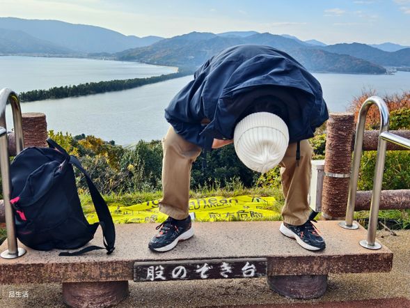 天橋立的「倒立」指的是當地著名的觀景方式「股之窺」:遊客背對天橋立,彎腰從兩腿之間倒著看景色。這時天地顛倒,天橋立宛如一座直通天際的橋樑,或像飛龍升天,成為獨特的絕景體驗。傘松公園與天橋立View Land兩大展望台都能體驗這種觀賞方式,是造訪天橋立不可錯過的樂趣