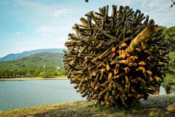 前往大坡池,展開漂鳥197藝術巡禮,沿著湖畔欣賞藝術裝置,感受自然與人文交織的美感。
