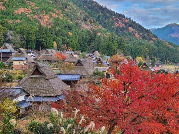 這裡不是觀光展示品,而是真實有人煙、炊煙、童年和季節變換的村落。你走在的每條小路,都可能擦肩而過正種田的村民,而非另一位觀光客。