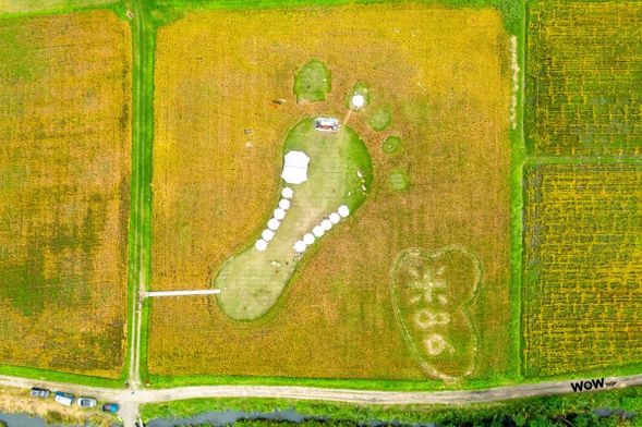 稻田美景加持|邊用餐邊欣賞稻浪隨風擺動,與遠方青山構成最自然的畫布