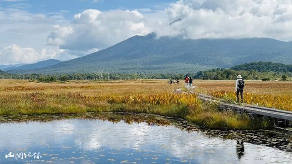 尾瀨濕園是一片遼闊的山地和沼澤地,是日本最大的高海拔沼澤地,四周環繞著多座海拔 2,000 公尺的山峰(如燧岳、至仏山、会津駒岳與平岳)。
被譽為日本自然保育發源地的尾瀨,有無數公眾努力守護環境的事蹟,不僅是第一個要求遊客自行帶走垃圾的國家公園,還鋪設了總長約 65 公里的木棧步道,以保護脆弱的泥炭溼地。