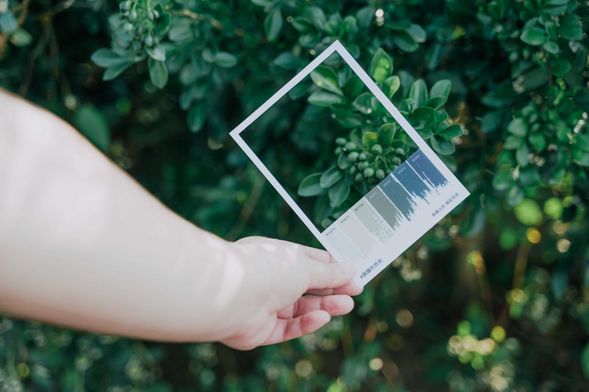 春 日 巡 水 踏 春 尋 綠