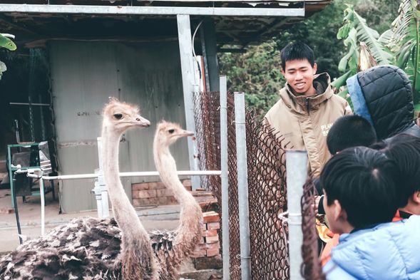 除了雞以外,農場裡還住了那些居民?