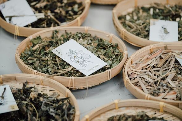 引導嗅聞,7種客家香草的情感連結