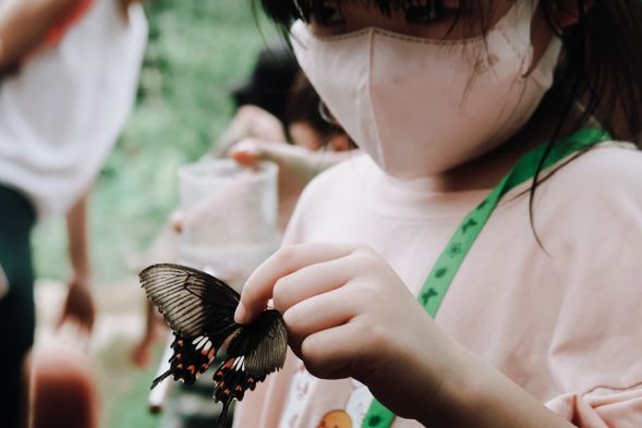 穿梭草叢,掃網抓昆蟲