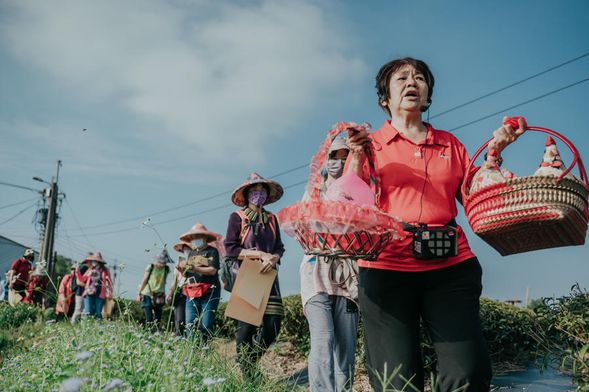 一片茶園,學會迷失與勇氣