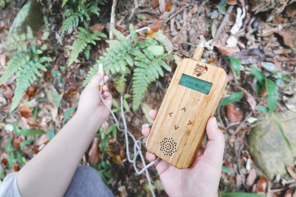 運用儀器,聽花草哼唱大地之歌