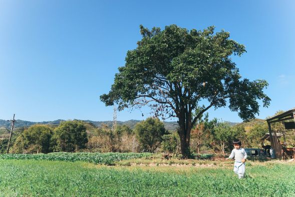 集合點:【續緣自然農場】