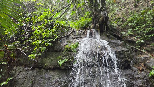 抵達水的源頭,就地煮一壺山泉茶