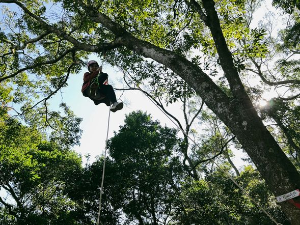 引繩向上,體會樹木的視野