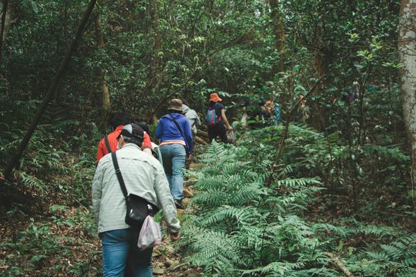 ◖雙峰山裡的五感時光◗ 跟著引導,用專注當下